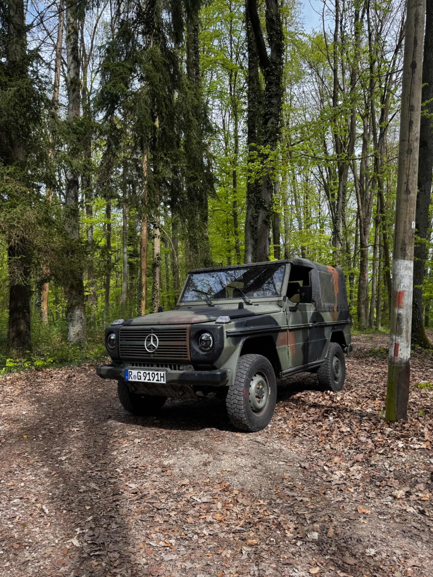 1991 Mercedes-Benz 250 GD